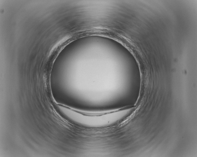 X0000067001402200604241352