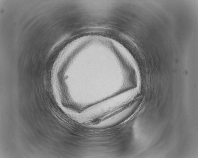 X0000067001403200604241352