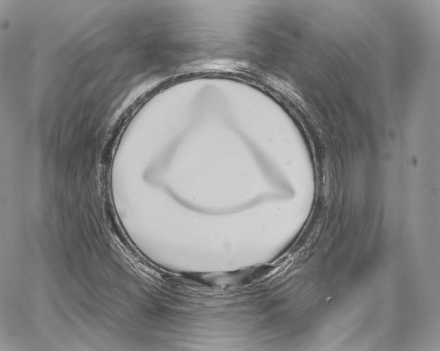 X0000067001404200604241352