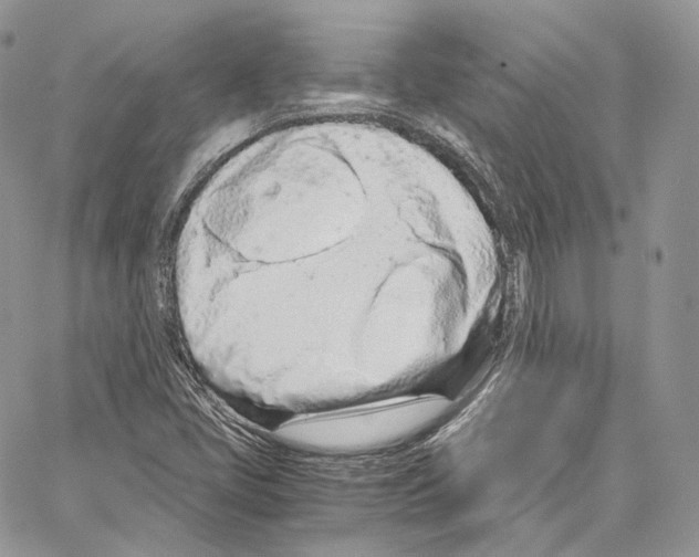 X0000067001405200604241352