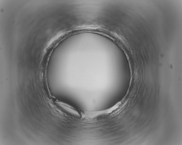 X0000067001406200604241352