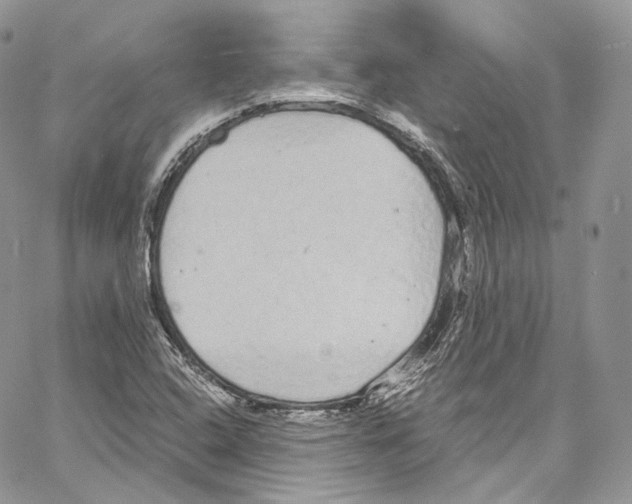 X0000067001408200604241352