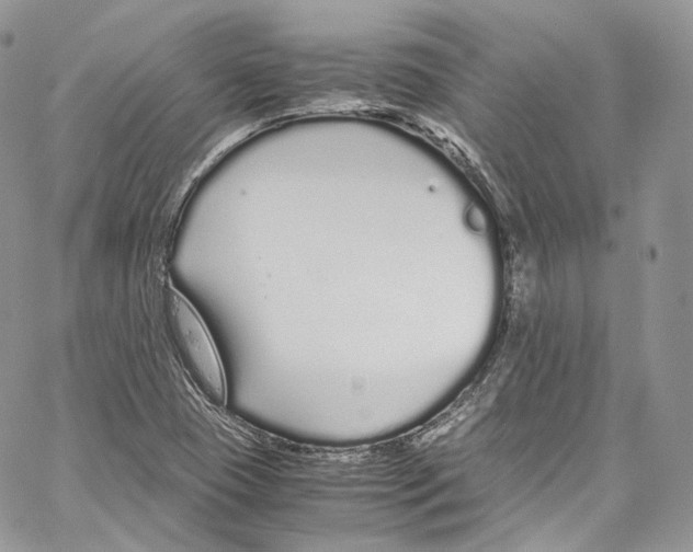 X0000067001409200604241352