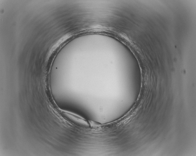 X0000067001410200604241352