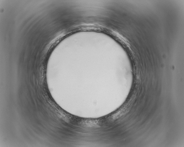 X0000067001411200604241352