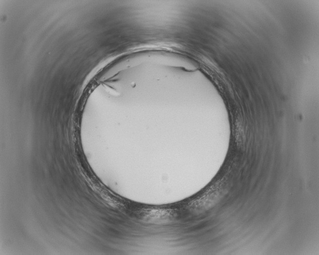 X0000067001412200604241352