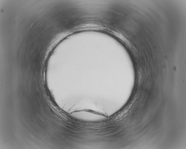 X0000067001413200604241352