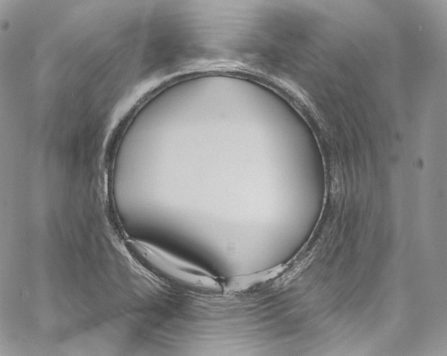 X0000067001414200604241352