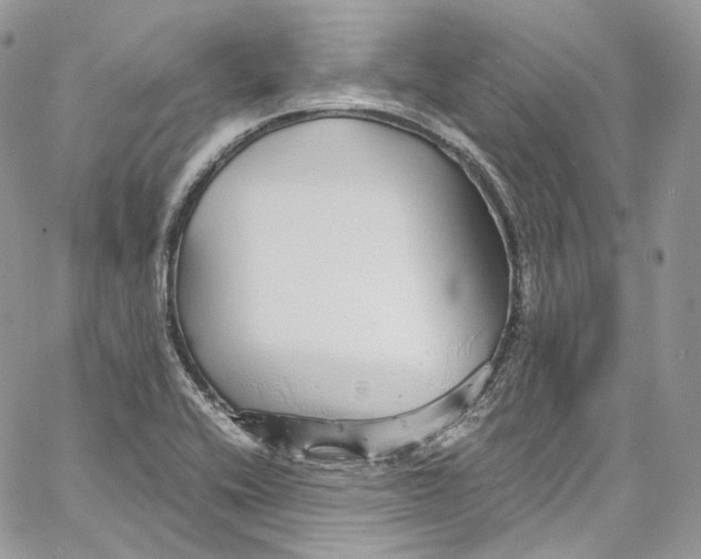 X0000067001416200604241352