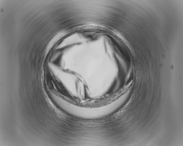 X0000067001418200604241352