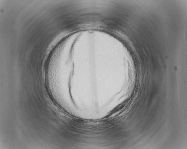 X0000067001419200604241352