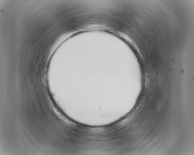 X0000067001421200604241352