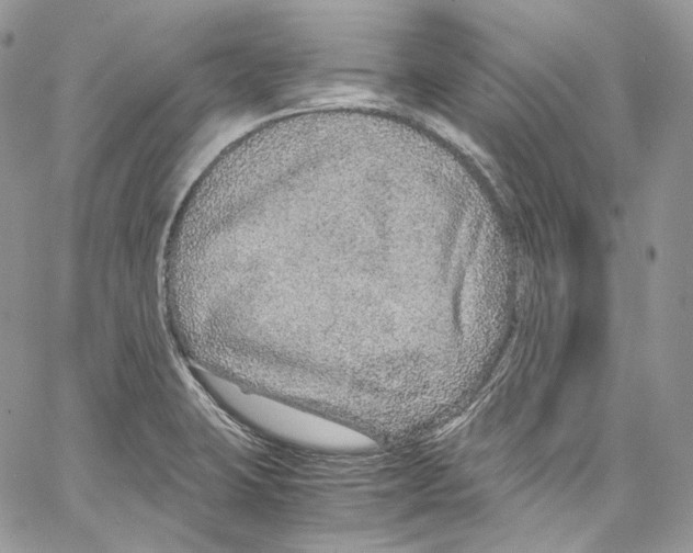 X0000067001423200604241352