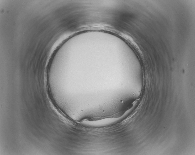 X0000067001424200604241353