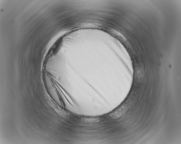 X0000067001427200604241353