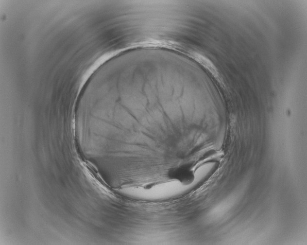 X0000067001428200604241353