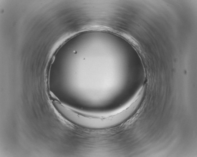 X0000067001430200604241353