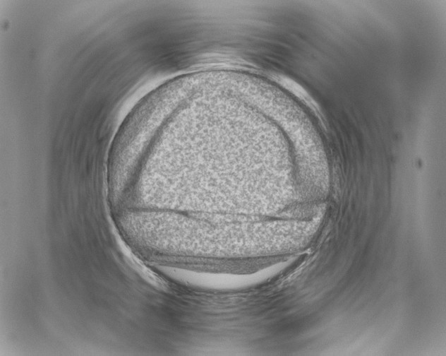 X0000067001431200604241353