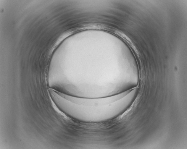 X0000067001433200604241353