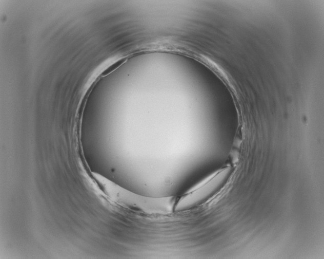 X0000067001434200604241353