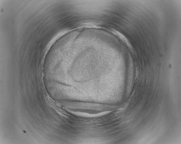 X0000067001435200604241353