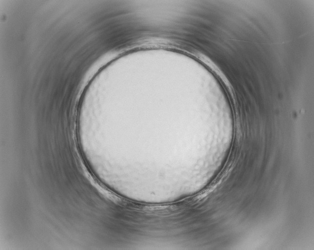 X0000067001437200604241353