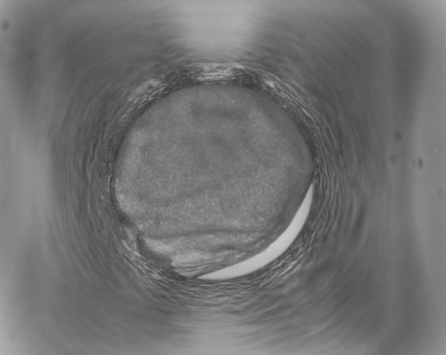 X0000067001441200604241352