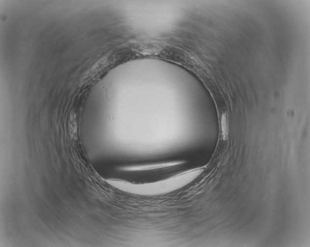 X0000067001443200604241352