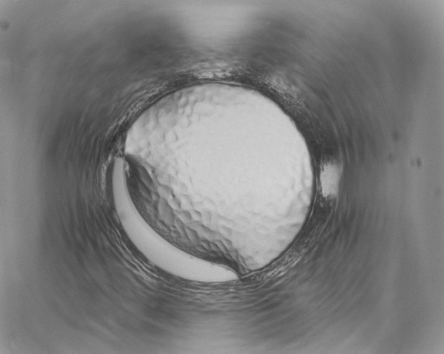 X0000067001444200604241352