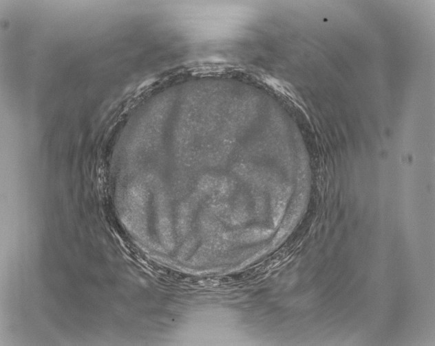 X0000067001445200604241352