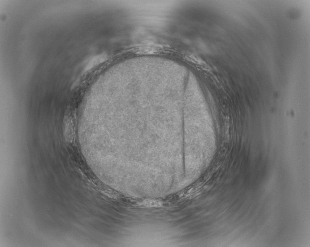 X0000067001446200604241352