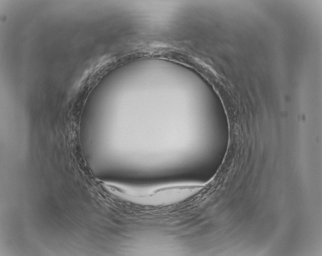 X0000067001447200604241352