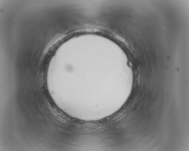 X0000067001448200604241352