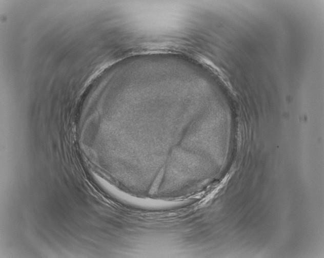 X0000067001449200604241352