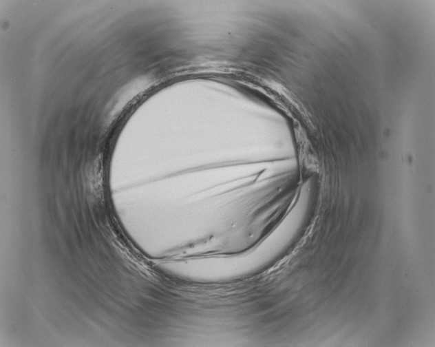 X0000067001450200604241352