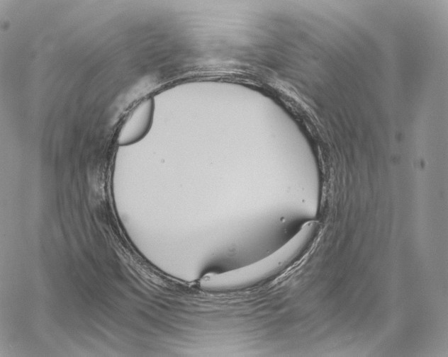 X0000067001451200604241352