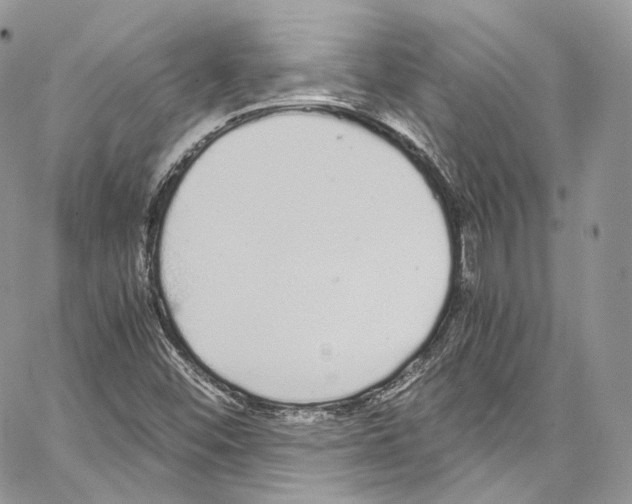 X0000067001452200604241352