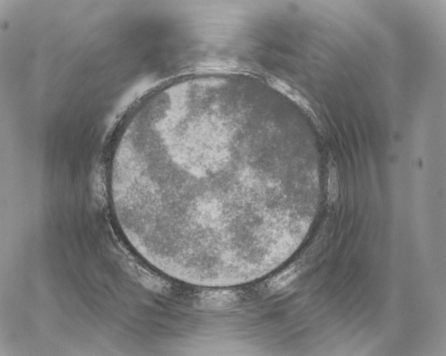 X0000067001454200604241352