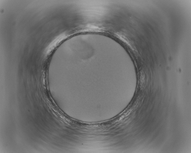 X0000067001455200604241352