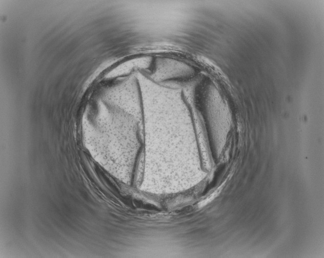 X0000067001457200604241352