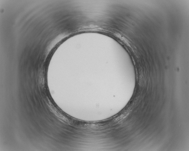 X0000067001458200604241352