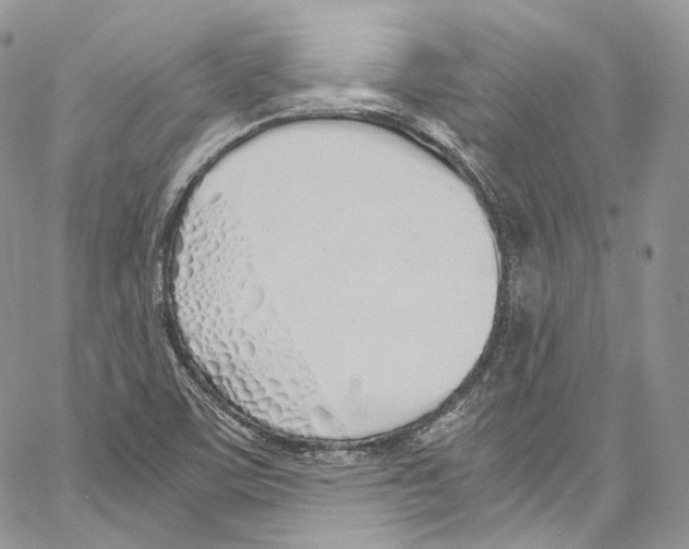 X0000067001459200604241352