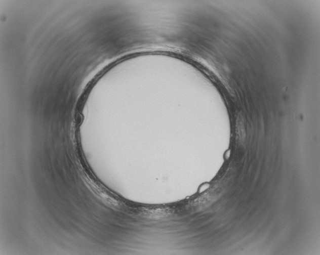 X0000067001460200604241352