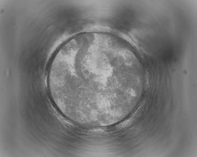 X0000067001462200604241352