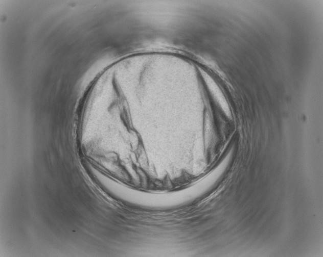 X0000067001463200604241352