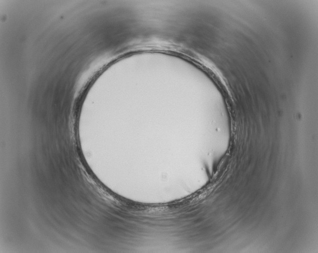 X0000067001464200604241352