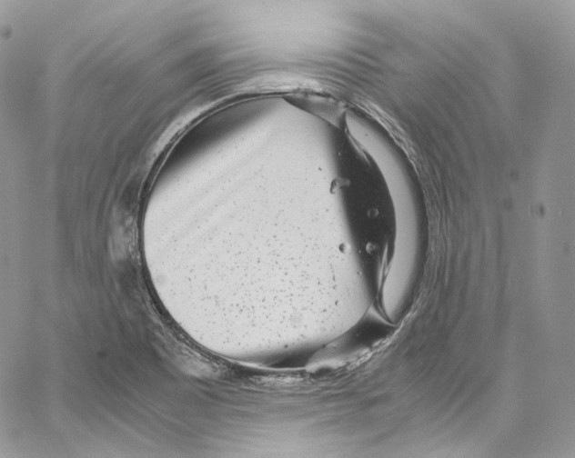 X0000067001465200604241352