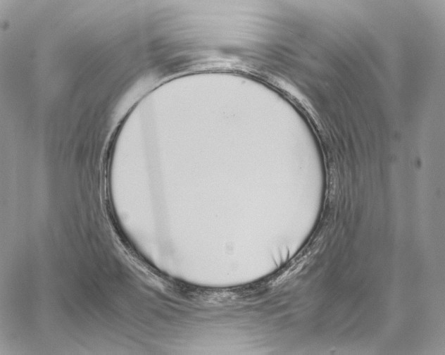 X0000067001467200604241352