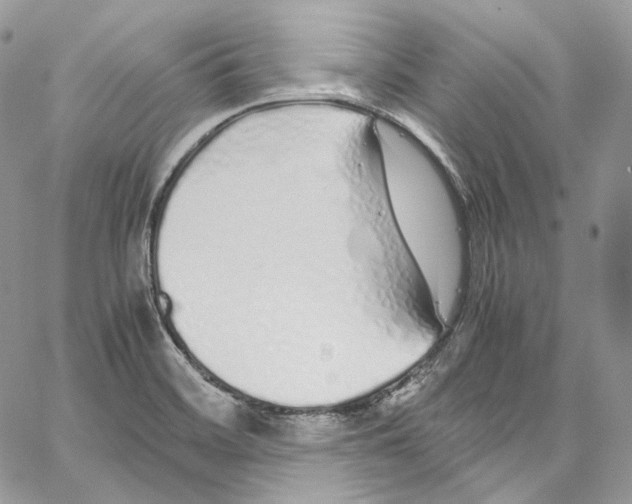 X0000067001468200604241352