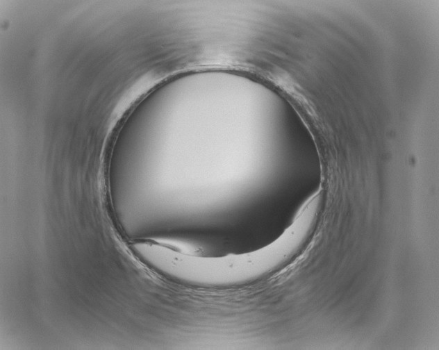 X0000067001469200604241352